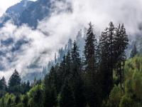 Teleblick zu wolkenumtanztem Wald